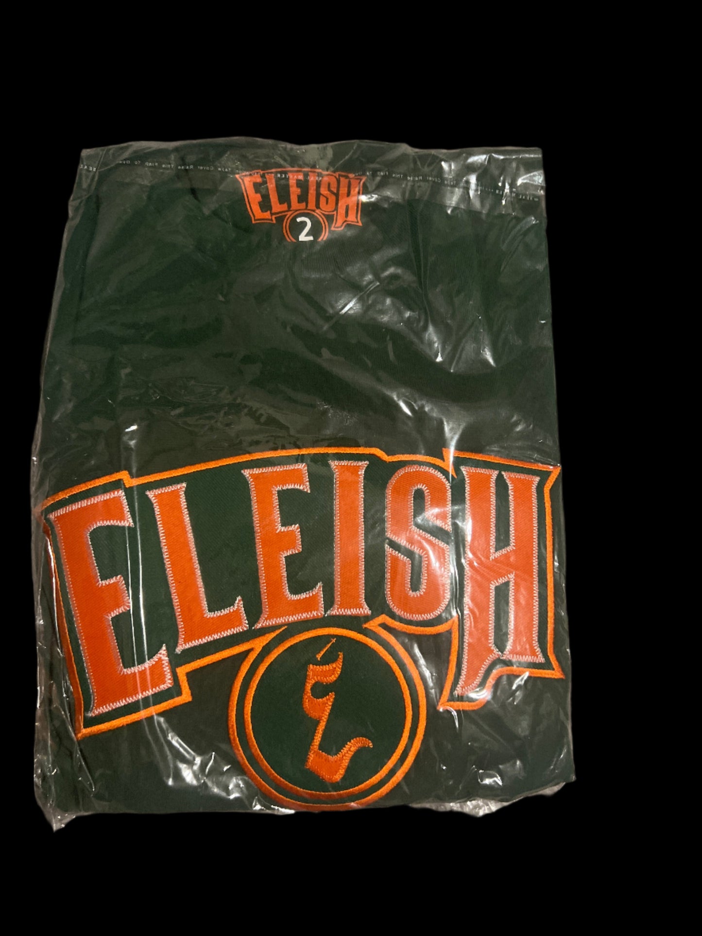 BIG LOGO TEE